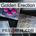 Golden Erection 38